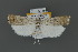 ( - MFNLEP106)  @11 [ ] Copyright (2021) Theo Leger Museum für Naturkunde Berlin