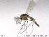  ( - ZACHIR79)  @11 [ ] CreativeCommons - Attribution Non-Commercial Share-Alike (2013) NTNU Museum of Natural History and Archaeology NTNU Museum of Natural History and Archaeology