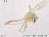  ( - ZACHIR87)  @11 [ ] CreativeCommons - Attribution Non-Commercial Share-Alike (2013) NTNU Museum of Natural History and Archaeology NTNU Museum of Natural History and Archaeology