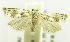  ( - USNM ENT 00193603)  @12 [ ] Unspecified (default): All Rights Reserved  Unspecified Unspecified