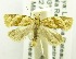  ( - USNM ENT 00193704)  @12 [ ] Unspecified (default): All Rights Reserved  Unspecified Unspecified