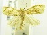  ( - USNM ENT 00194616)  @12 [ ] Unspecified (default): All Rights Reserved  Unspecified Unspecified