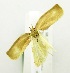  ( - USNM ENT 00676467)  @12 [ ] Unspecified (default): All Rights Reserved  Unspecified Unspecified