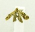  ( - USNM ENT 00676491)  @12 [ ] Unspecified (default): All Rights Reserved  Unspecified Unspecified