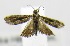  ( - USNM ENT 00676844)  @12 [ ] Unspecified (default): All Rights Reserved  Unspecified Unspecified