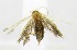  ( - USNM ENT 00676880)  @12 [ ] Unspecified (default): All Rights Reserved  Unspecified Unspecified