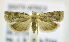 ( - RMCA ENT 000006994)  @13 [ ] Unspecified (default): All Rights Reserved  Unspecified Unspecified