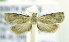  ( - RMCA ENT 000006995)  @12 [ ] Unspecified (default): All Rights Reserved  Unspecified Unspecified