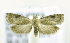  ( - RMCA ENT 000006996)  @12 [ ] Unspecified (default): All Rights Reserved  Unspecified Unspecified