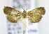  ( - RMCA ENT 000007047)  @12 [ ] Unspecified (default): All Rights Reserved  Unspecified Unspecified