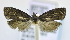  ( - RMCA ENT 000020578)  @12 [ ] Unspecified (default): All Rights Reserved  Unspecified Unspecified
