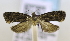  ( - RMCA ENT 000020580)  @12 [ ] Unspecified (default): All Rights Reserved  Unspecified Unspecified