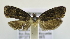  ( - RMCA ENT 000020581)  @12 [ ] Unspecified (default): All Rights Reserved  Unspecified Unspecified