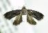  ( - USNM ENT 00980407)  @12 [ ] Unspecified (default): All Rights Reserved  Unspecified Unspecified