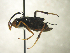  ( - AGA-001)  @13 [ ] Unspecified (default): All Rights Reserved  Unspecified Unspecified