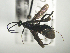  ( - AGA-002)  @13 [ ] Unspecified (default): All Rights Reserved  Unspecified Unspecified