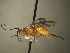  ( - AGA-041)  @12 [ ] Unspecified (default): All Rights Reserved  Unspecified Unspecified