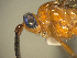  ( - AGA-054)  @12 [ ] Unspecified (default): All Rights Reserved  Unspecified Unspecified