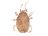  ( - BIOUG32231-G05)  @11 [ ] CreativeCommons - Attribution (2017) CBG Photography Group Centre for Biodiversity Genomics