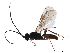  ( - BIOUG37001-F02)  @11 [ ] CreativeCommons - Attribution (2019) CBG Photography Group Centre for Biodiversity Genomics