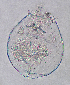  (Brachionus sp. Almenara - ECOCHZ-AG0265)  @14 [ ] Unspecified (default): All Rights Reserved  Unspecified Unspecified