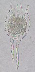  ( - ECOCHZ-AG0408)  @13 [ ] Unspecified (default): All Rights Reserved  Unspecified Unspecified