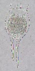  ( - ECOCHZ-AG0409)  @14 [ ] Unspecified (default): All Rights Reserved  Unspecified Unspecified