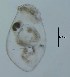  ( - ECOCHZ-AG0492)  @12 [ ] Unspecified (default): All Rights Reserved  Unspecified Unspecified