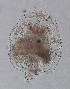  ( - ECOCHZ-AG0513)  @13 [ ] Unspecified (default): All Rights Reserved  Unspecified Unspecified