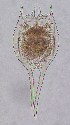  ( - ECOCHZ-AG0532)  @13 [ ] Unspecified (default): All Rights Reserved  Unspecified Unspecified