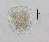  ( - ECOCHZ-AG0632)  @12 [ ] Unspecified (default): All Rights Reserved  Unspecified Unspecified
