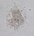  ( - ECOCHZ-AG0692)  @13 [ ] Unspecified (default): All Rights Reserved  Unspecified Unspecified