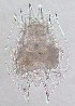  ( - ECOCHZ-AG0811)  @13 [ ] Unspecified (default): All Rights Reserved  Unspecified Unspecified