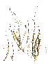  ( - SCL16920)  @11 [ ] CreativeCommons - Attribution No Derivatives (2017) Sandra C. Lindstrom University of British Columbia