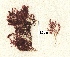  ( - SCL17010)  @11 [ ] CreativeCommons - Attribution No Derivatives (2017) Sandra C. Lindstrom University of British Columbia