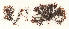  ( - SCL17040)  @11 [ ] CreativeCommons - Attribution No Derivatives (2017) Sandra C. Lindstrom University of British Columbia