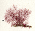  ( - SCL17127)  @11 [ ] CreativeCommons - Attribution No Derivatives (2017) Sandra C. Lindstrom University of British Columbia
