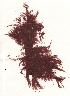  ( - SCL17237)  @11 [ ] CreativeCommons - Attribution No Derivatives (2017) Sandra C. Lindstrom University of British Columbia