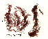  ( - SCL16157)  @11 [ ] Unspecified (default): All Rights Reserved  Sandra C. Lindstrom Unspecified