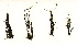  ( - SCL 13771)  @11 [ ] CreativeCommons Attribution Non-Commercial No Derivatives (2021) Sandra C. Lindstrom University of British Columbia