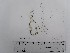  ( - SCL 13999)  @11 [ ] CreativeCommons Attribution Non-Commercial No Derivatives (2021) Sandra C. Lindstrom University of British Columbia