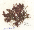  ( - SCL16022)  @11 [ ] CreativeCommons Attribution Non-Commercial No Derivatives (2019) Sandra Lindstrom University of British Columbia