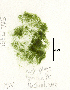  ( - SCL17354)  @11 [ ] CreativeCommons - Attribution No Derivatives (2018) Sandra Lindstrom UBC
