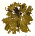  ( - SCL 13454)  @11 [ ] CreativeCommons Attribution Non-Commercial No Derivatives (2021) Sandra C. Lindstrom University of British Columbia