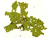  ( - SCL 13538)  @11 [ ] CreativeCommons Attribution Non-Commercial No Derivatives (2021) Sandra C. Lindstrom University of British Columbia