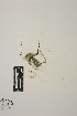  ( - SCL 16310)  @11 [ ] CreativeCommons Attribution Non-Commercial No Derivatives (2021) Sandra C. Lindstrom University of British Columbia