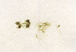  ( - SCL 9621)  @11 [ ] CreativeCommons Attribution Non-Commercial No Derivatives (2021) Sandra C. Lindstrom University of British Columbia