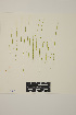  ( - SCL 13943)  @11 [ ] CreativeCommons Attribution Non-Commercial No Derivatives (2021) Sandra C. Lindstrom University of British Columbia