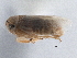 ( - CNC#HEM406118)  @11 [ ] CreativeCommons - Attribution (2014) CBG Photography Group Centre for Biodiversity Genomics