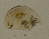  ( - BarCrust 111)  @11 [ ] CreativeCommons - Attribution Non-Commercial Share-Alike (2015) A. Hobæk Norwegian Institute for Water Research